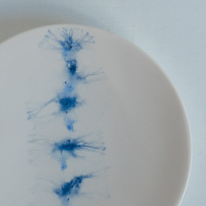 片瀬有美子 moca plate S A