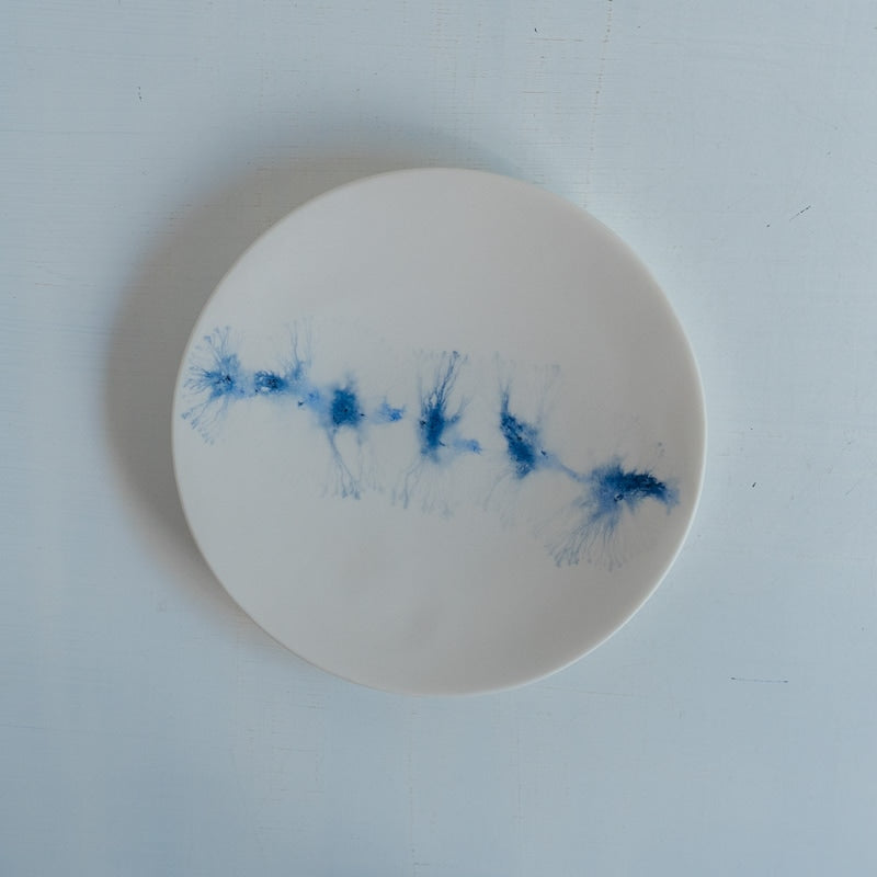 片瀬有美子 moca plate S A