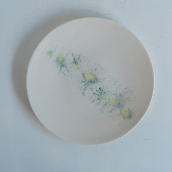 片瀬有美子 moca plate M B