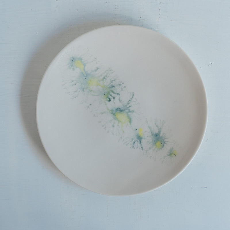 片瀬有美子 moca plate M B
