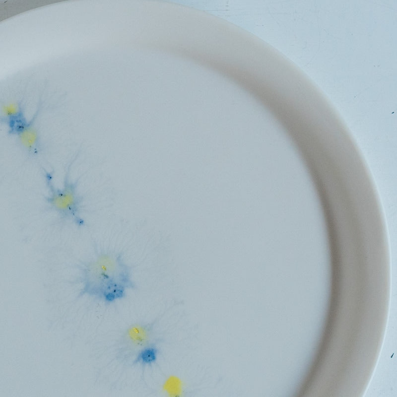 片瀬有美子 moca sweets plate S A