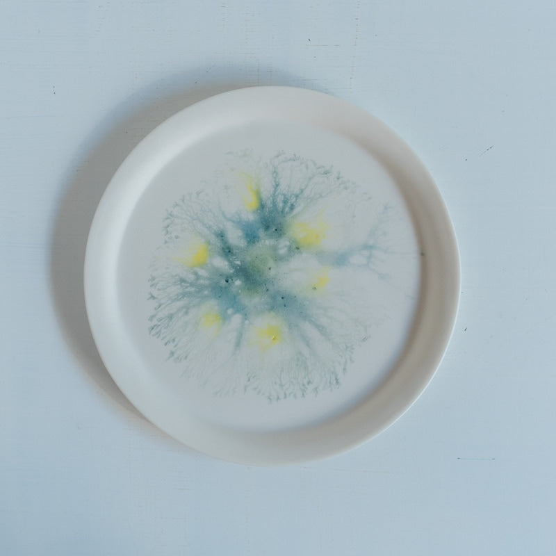 片瀬有美子 moca sweets plate S F