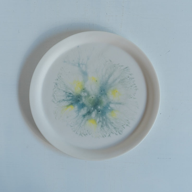 片瀬有美子 moca sweets plate S F