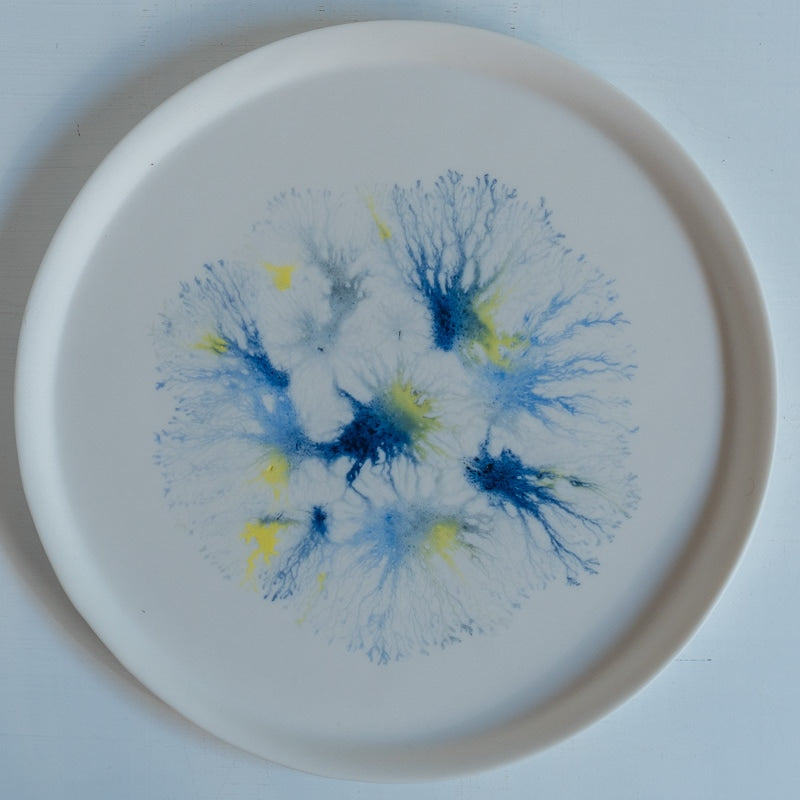 片瀬有美子 moca sweets plate L