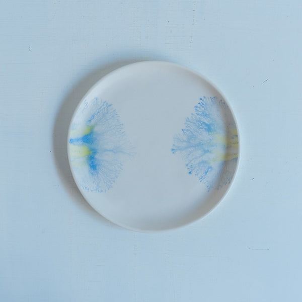 片瀬有美子 moca saucer C