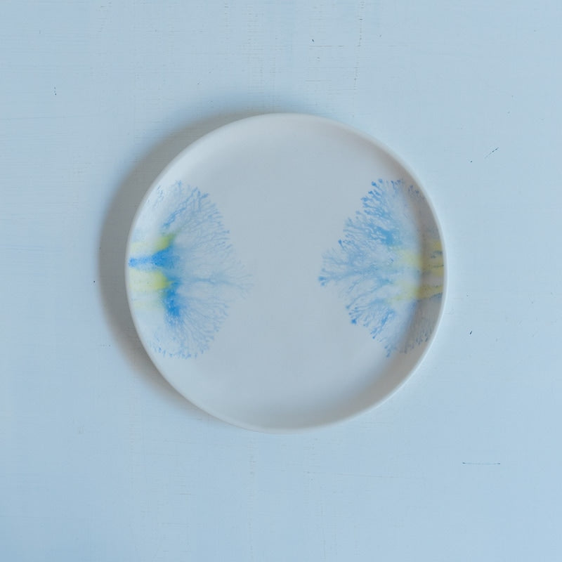 片瀬有美子 moca saucer C