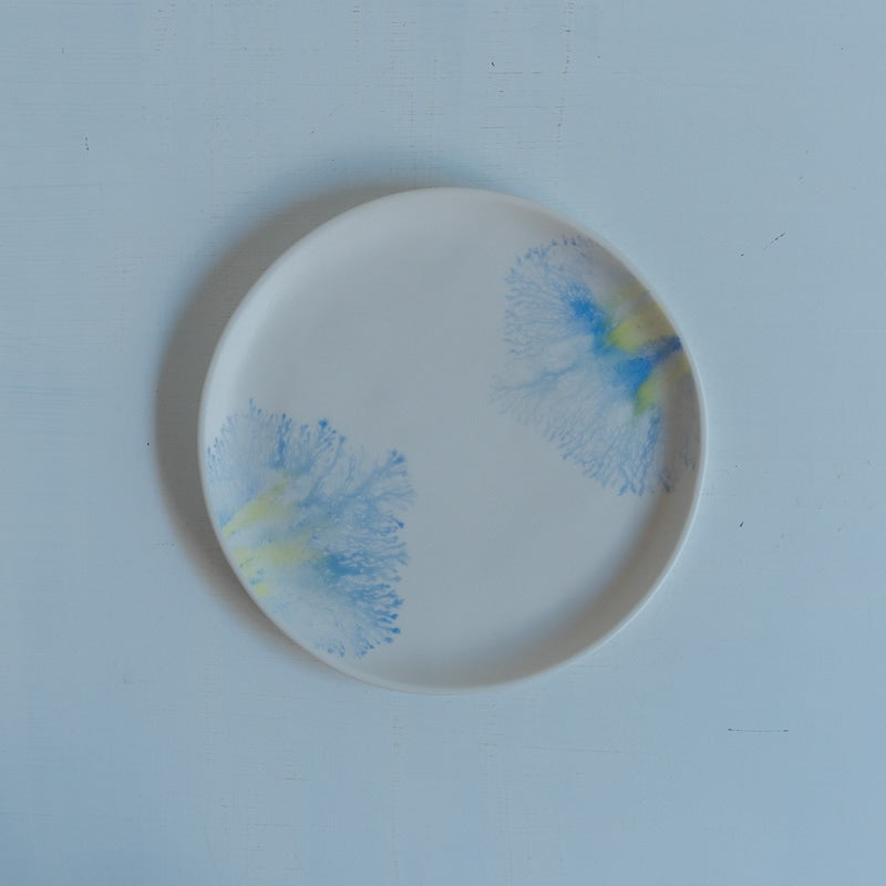 片瀬有美子 moca saucer C