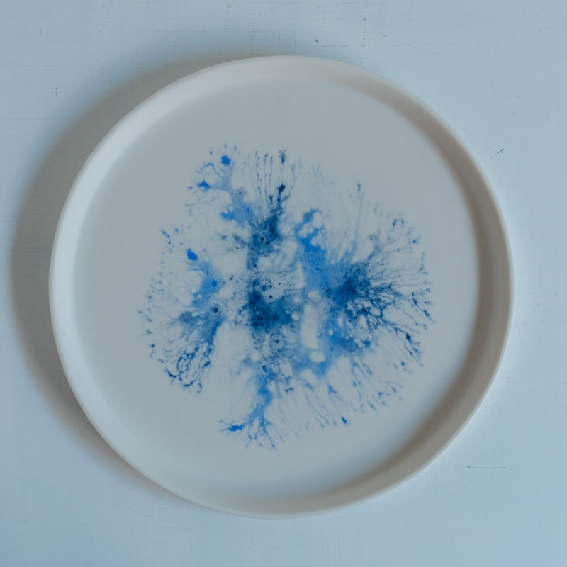 片瀬有美子 moca low rim plate C