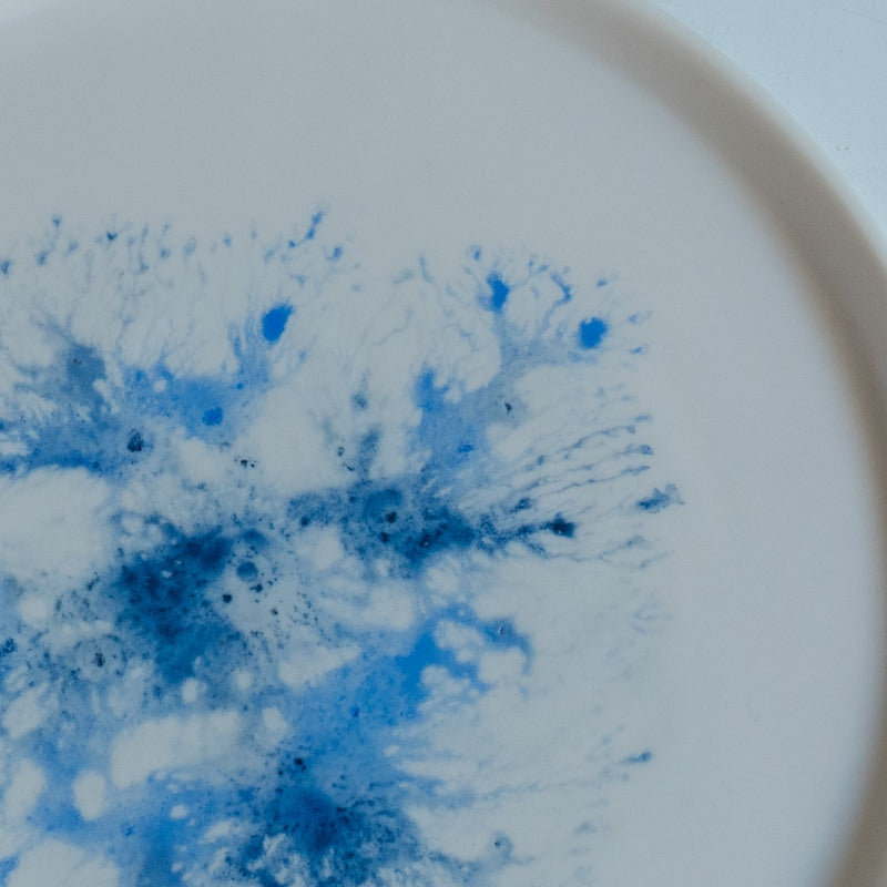 片瀬有美子 moca low rim plate C