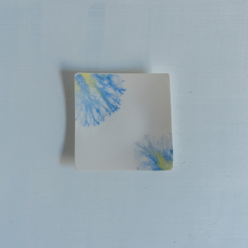 片瀬有美子 moca tray □ B