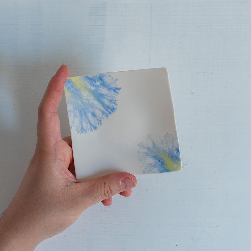 片瀬有美子 moca tray □ B