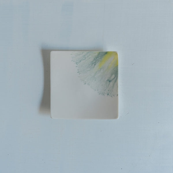 片瀬有美子 moca tray □ C