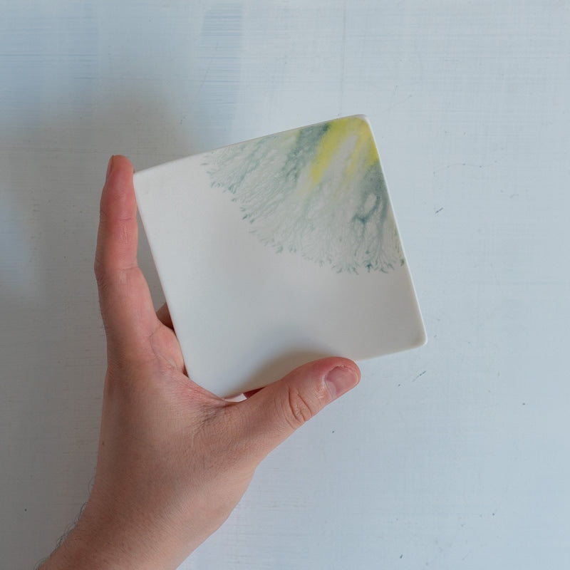片瀬有美子 moca tray □ C