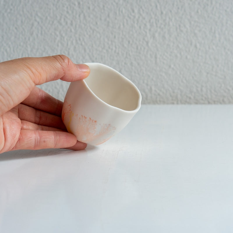 片瀬有美子 moca 輪花 茶杯 C