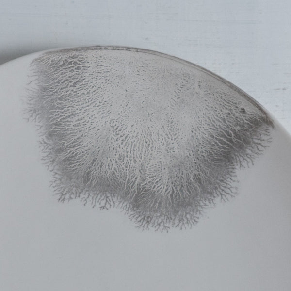 片瀬有美子 silver frost plate M B
