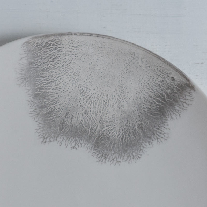 片瀬有美子 silver frost plate M B