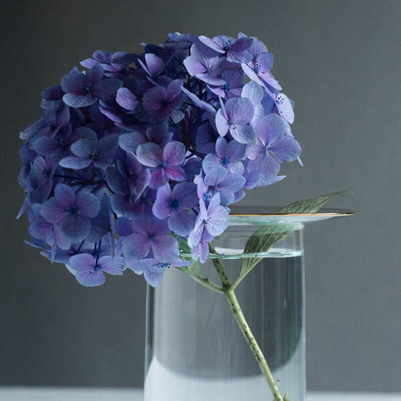 Okutaiho Hoop Vase Kaku L